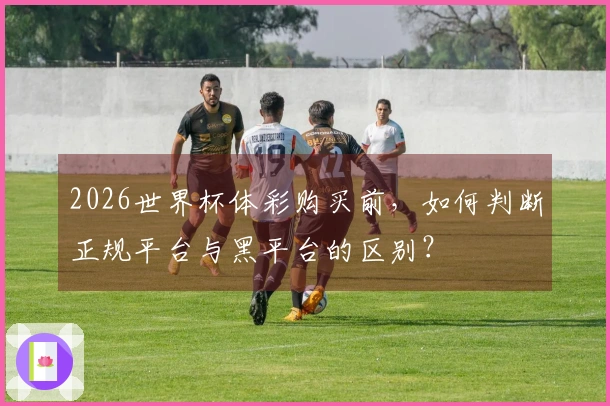 2026世界杯体彩购买前，如何判断正规平台与黑平台的区别？