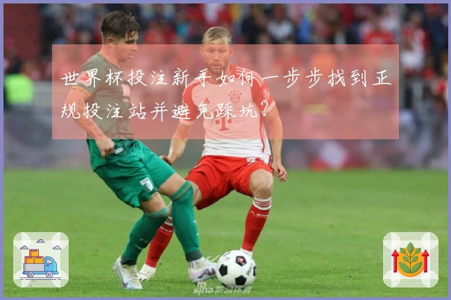 世界杯投注新手如何一步步找到正规投注站并避免踩坑？